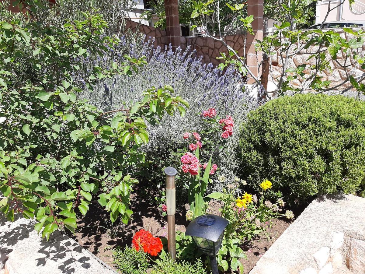 נובי ווינודולסקי Apartments Pavelic מראה חיצוני תמונה